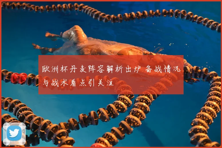 欧洲杯丹麦阵容解析出炉 备战情况与战术看点引关注