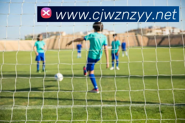 beat365最新网站链接平台生态图